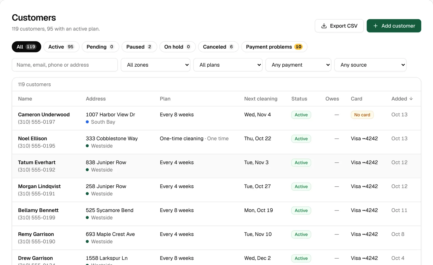 The customer list of the sample business: 119 customers, 95 with an active plan, status chips with 10 payment problems, filters and a table of plans and next cleanings