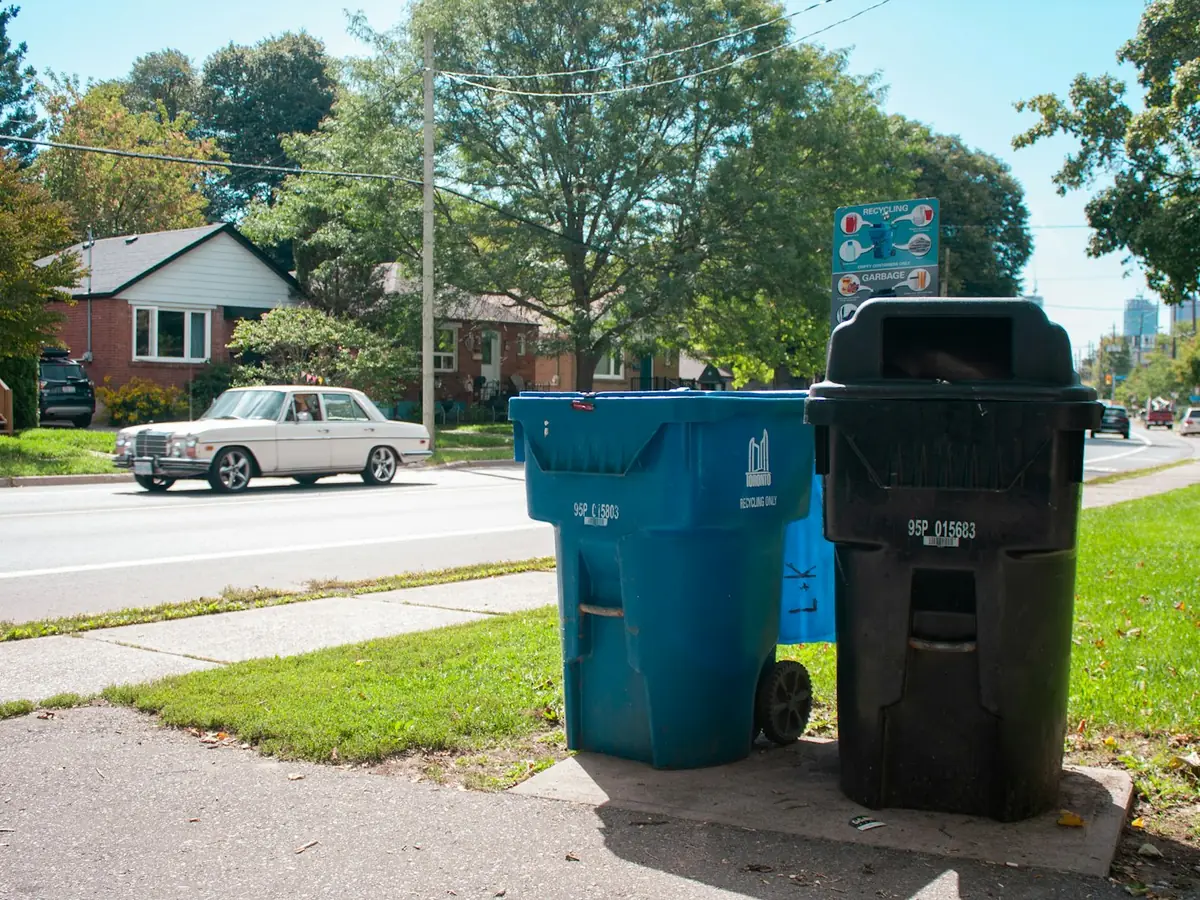 A blue recycling cart and a black garbage cart at the curb of a residential street